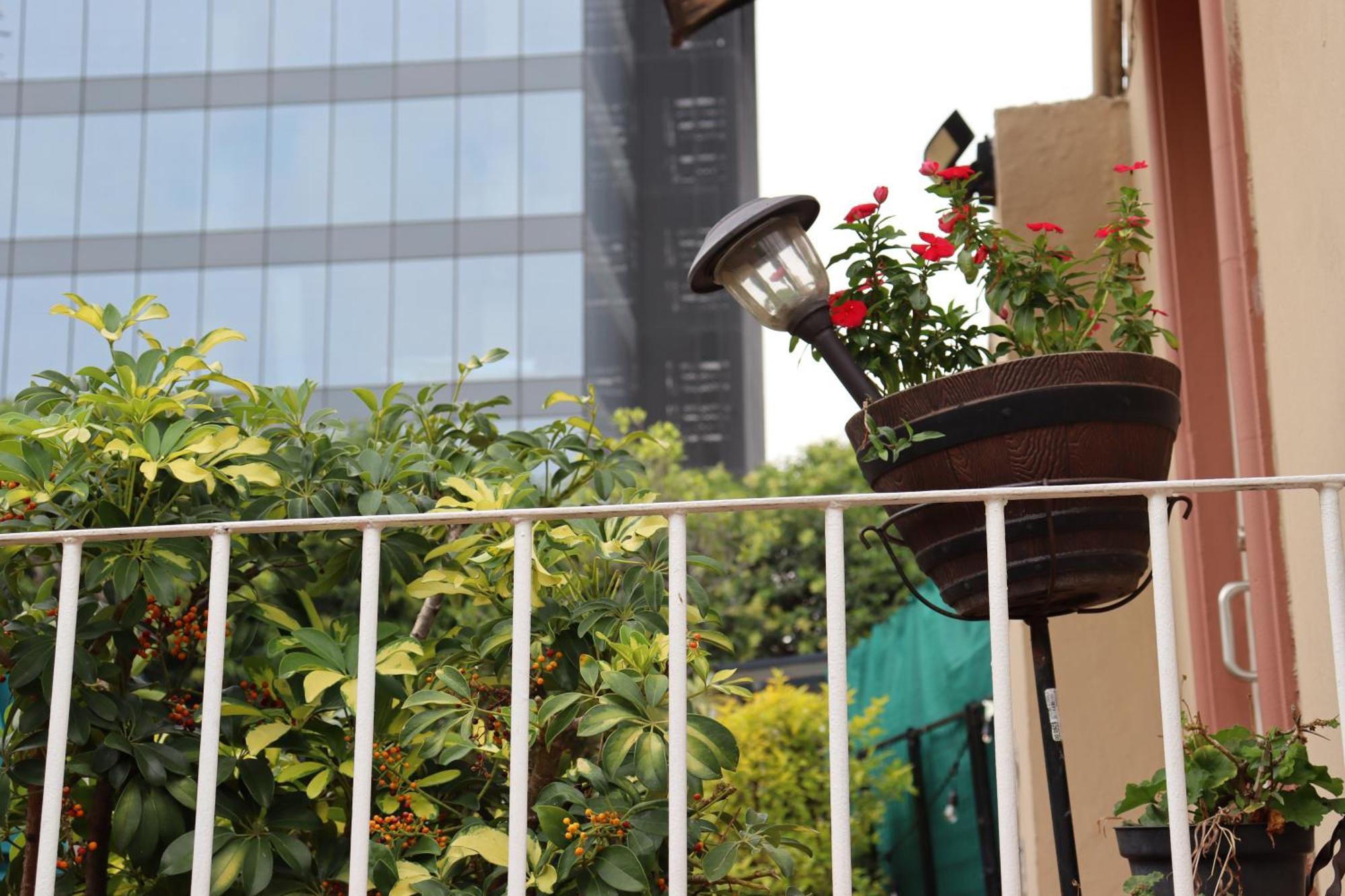 The 222 Apartment Mexico City Exterior photo